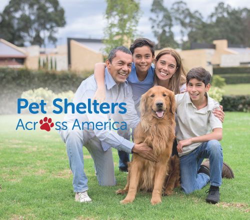 Pet Shelters Across America