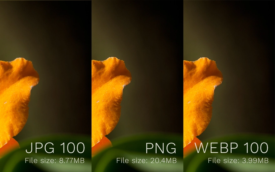 JPG 100 vs. PNG vs. WebP 100