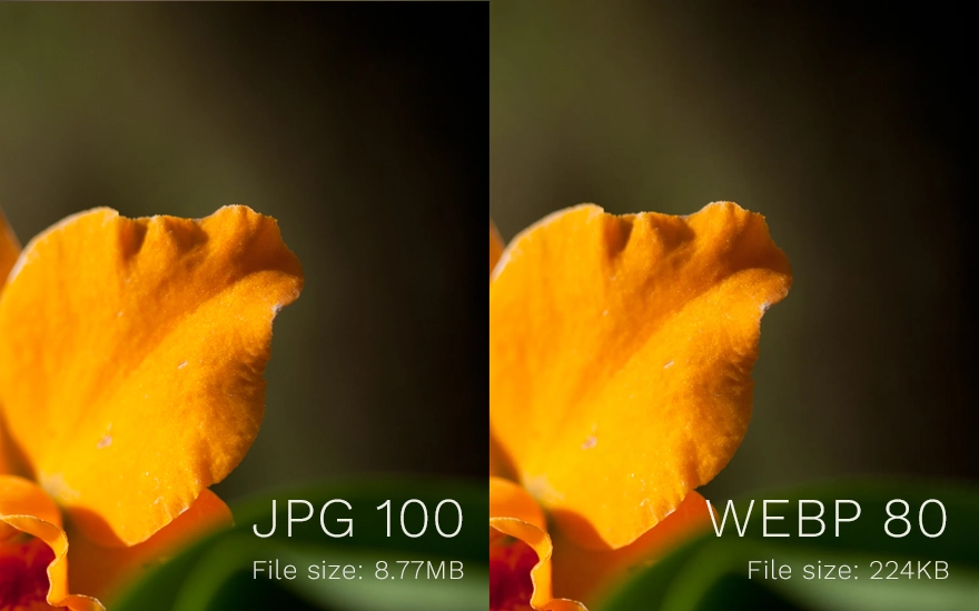 JPG 100 vs. WebP 80