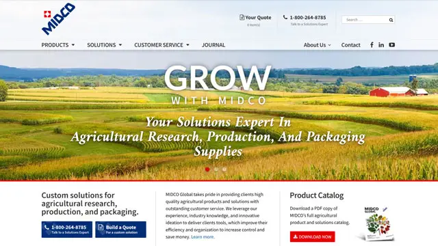 Screenshot of custom website design